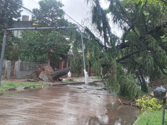 Fuerte temporal en Hurlingham: Destrozos, caos y personas atrapadas